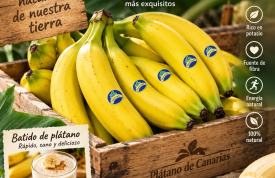 ¡Plátanos de Canarias en Frujuaida!